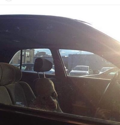 trustmeitslong thumbnail