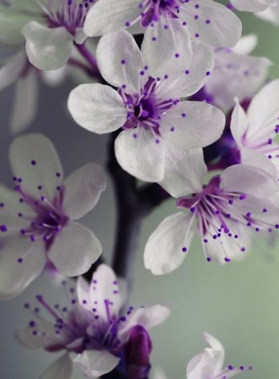 summer.king thumbnail