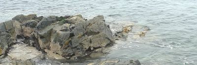 brendan12100 thumbnail