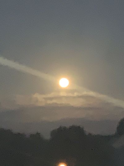 yafutureex thumbnail