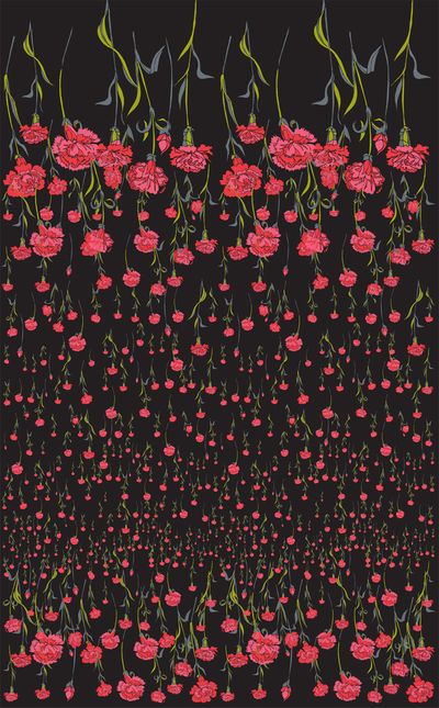 zeekaudacity thumbnail