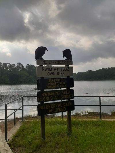 jenjenlive20 thumbnail