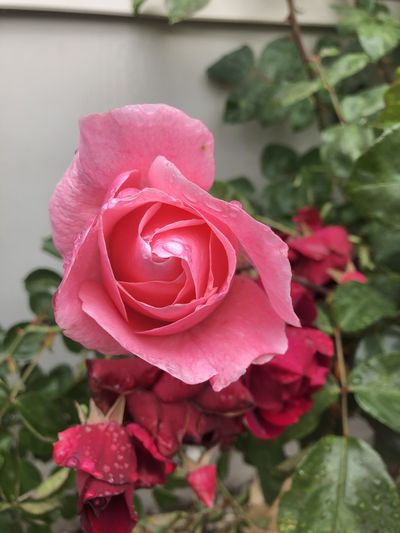 feeljupiter thumbnail