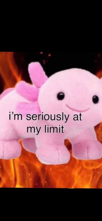 lightthecage profile