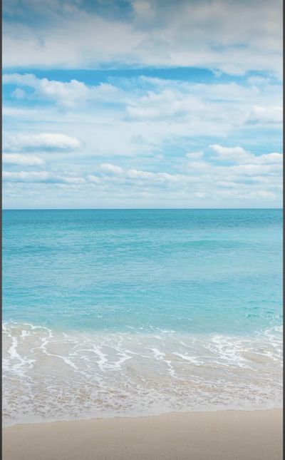 flower152510 thumbnail