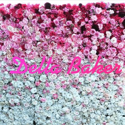 delta_baker thumbnail