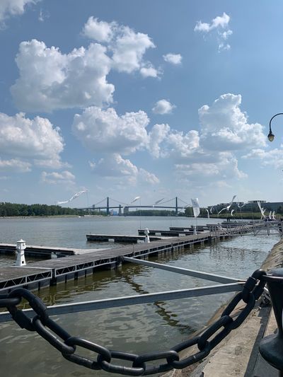 shyguytoledo thumbnail