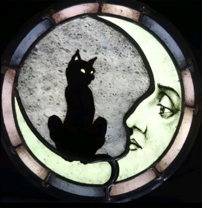 chickennugget456 thumbnail