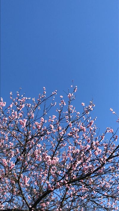 leonbornin98 thumbnail