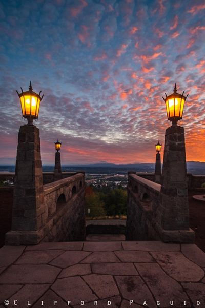 lavendergirl1 thumbnail