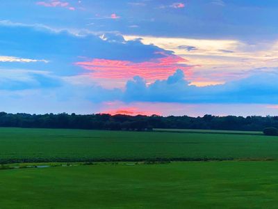 Cole Clark thumbnail