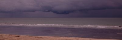 rafaelsaar thumbnail