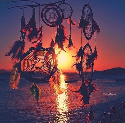 alliekat9292 thumbnail