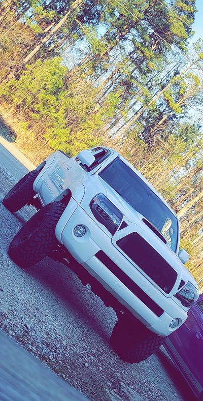 ginger_w_bwc thumbnail