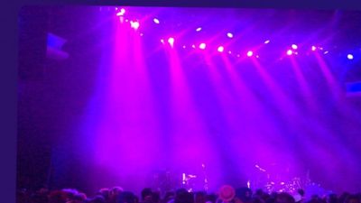 saltnpepper_leo thumbnail