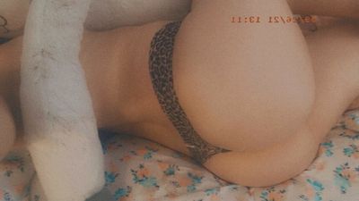 tintdamber thumbnail