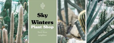 Sky Winters thumbnail