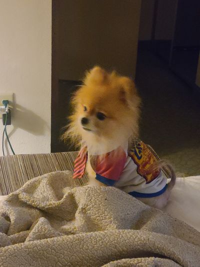 mraustinxxx thumbnail