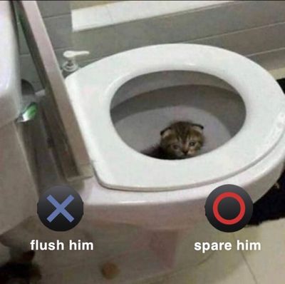 jbushsexmaster69 thumbnail