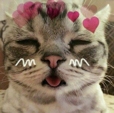 quirky_chicana profile