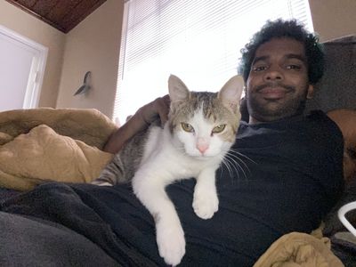 steve_powers thumbnail