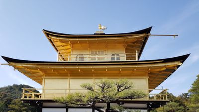 milkycatcom thumbnail