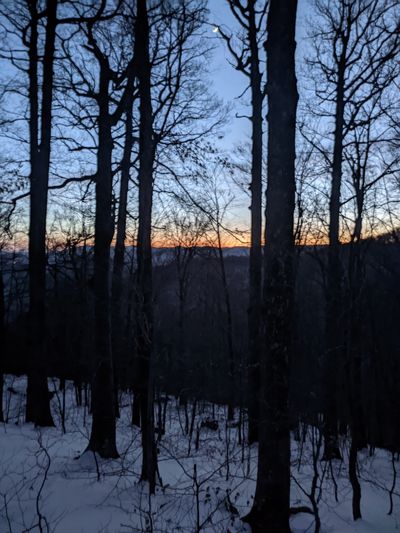 best.of.nature thumbnail