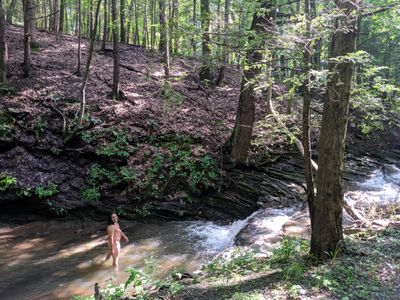 spicyquesadillapapi thumbnail