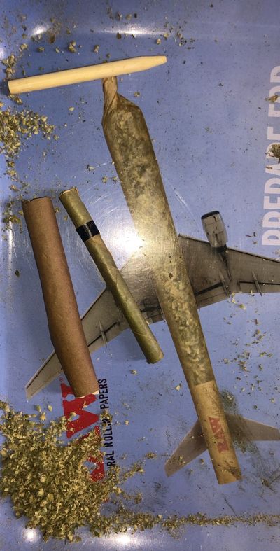 the3nutwonder thumbnail