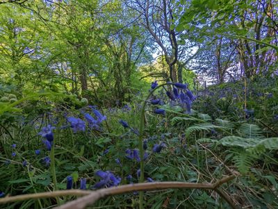 heathen.blacksmith thumbnail