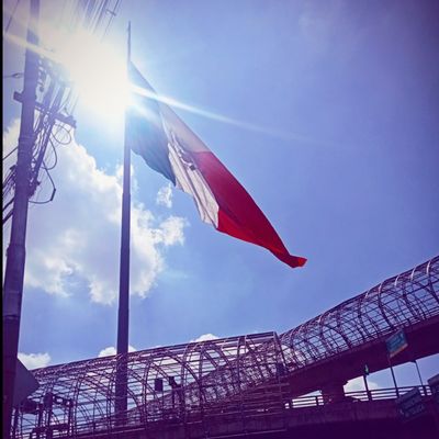 weedlunatic thumbnail