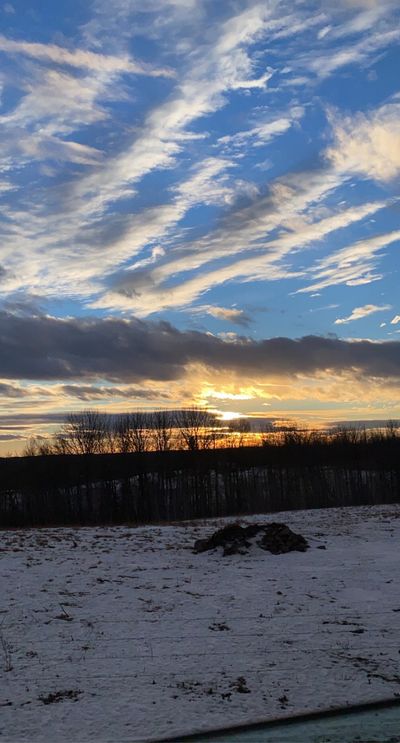 tits.mcgee thumbnail