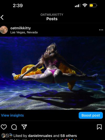 oatmilkkitty thumbnail