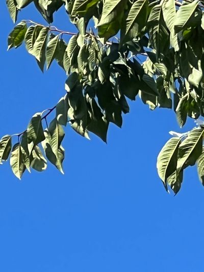 userrrwoman thumbnail