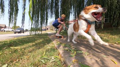 im.the.ryan thumbnail