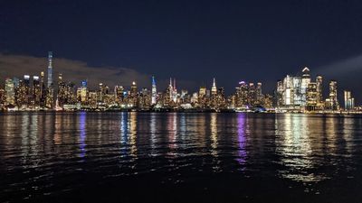 minervawillow thumbnail