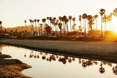 carlie_christine thumbnail