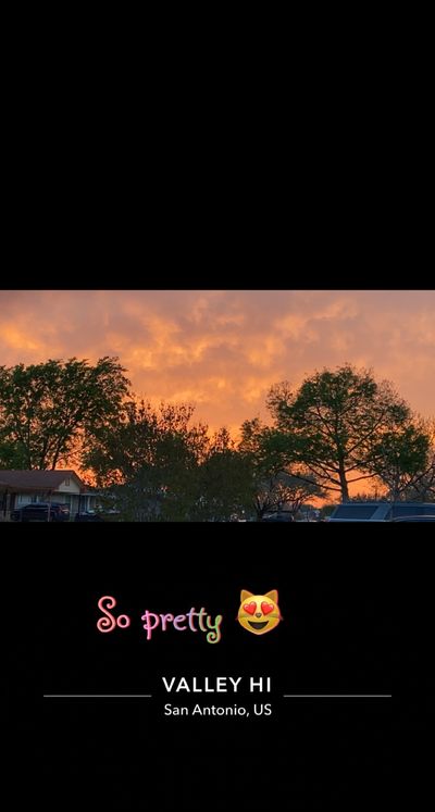 Leylani Penelope Stewart thumbnail