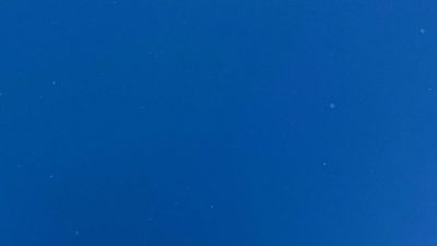 blondie.boo thumbnail