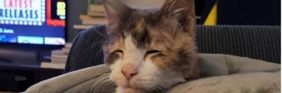 AnotherEmily thumbnail