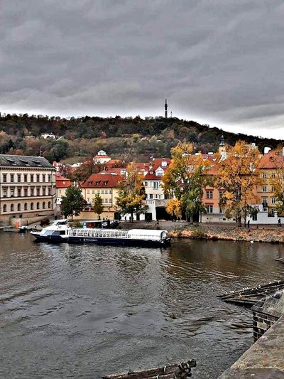 luisdelrosal thumbnail