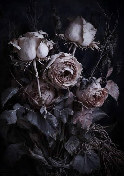 toxic_pixie666 thumbnail