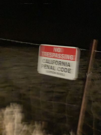 Nicky Grey thumbnail