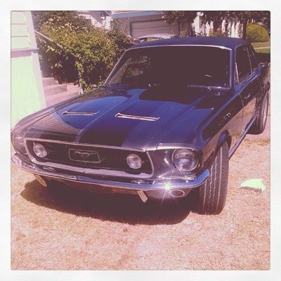 dommustangfree thumbnail