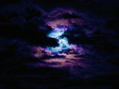 cyndicyanide thumbnail