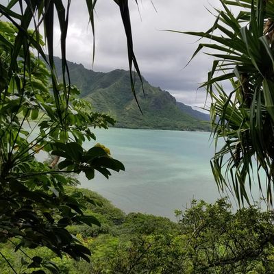 mr.supporther thumbnail