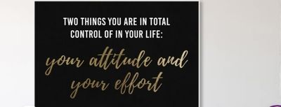 u105503619 thumbnail