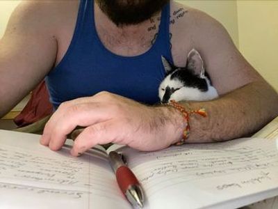 solomonshammock profile