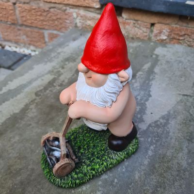 rodwhitestar1 profile