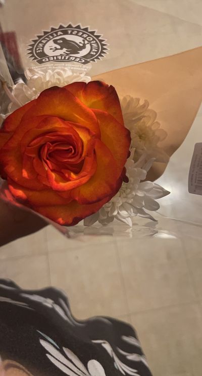 wilmalavish thumbnail